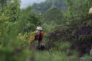 BIB: 
                            <button type="button" onclick="openModal(24761538)" class="btn btn-primary btn-sm float-right btn-popup" data-toggle="modal" data-target=".modal-high-quality">
                        <i class="fas fa-shopping-cart"></i> Add to Cart
                    </button>
                                            <button type="button" onclick="isThisMe(24761538, true)" class="btn btn-success btn-sm float-right btn-popup btn-isme hidden" data-toggle="tooltip" data-placement="bottom" title="นี่คือรูปของคุณใช่ไหม คลิกที่นี่เพื่อเอาเข้าอัลบั้ม">
                        <i class="fas fa-plus"></i> Add to album
                    </button>
                    <button type="button" onclick="isThisMe(24761538, false)" class="btn btn-warning btn-sm float-right btn-popup btn-isnotme hidden">
                        <i class="fas fa-ban"></i> Remove from album
                    </button>